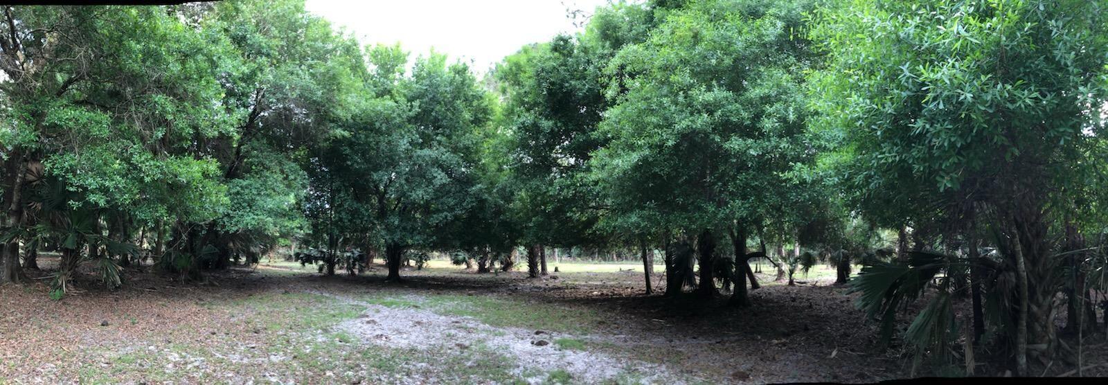 X B Road Loxahatchee, FL 33470 - Photo 3 of 6 Oak Hammock