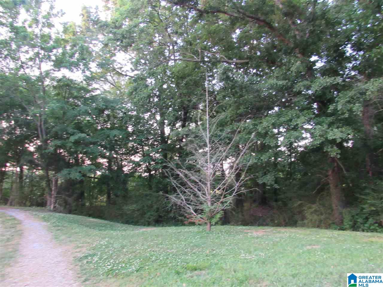 210 Shirey Lane Calera, AL 35040 - Photo 34 of 38