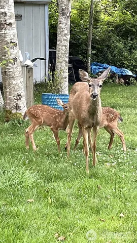 $69,000 | 30714 North Place, Ocean Park, WA 98640