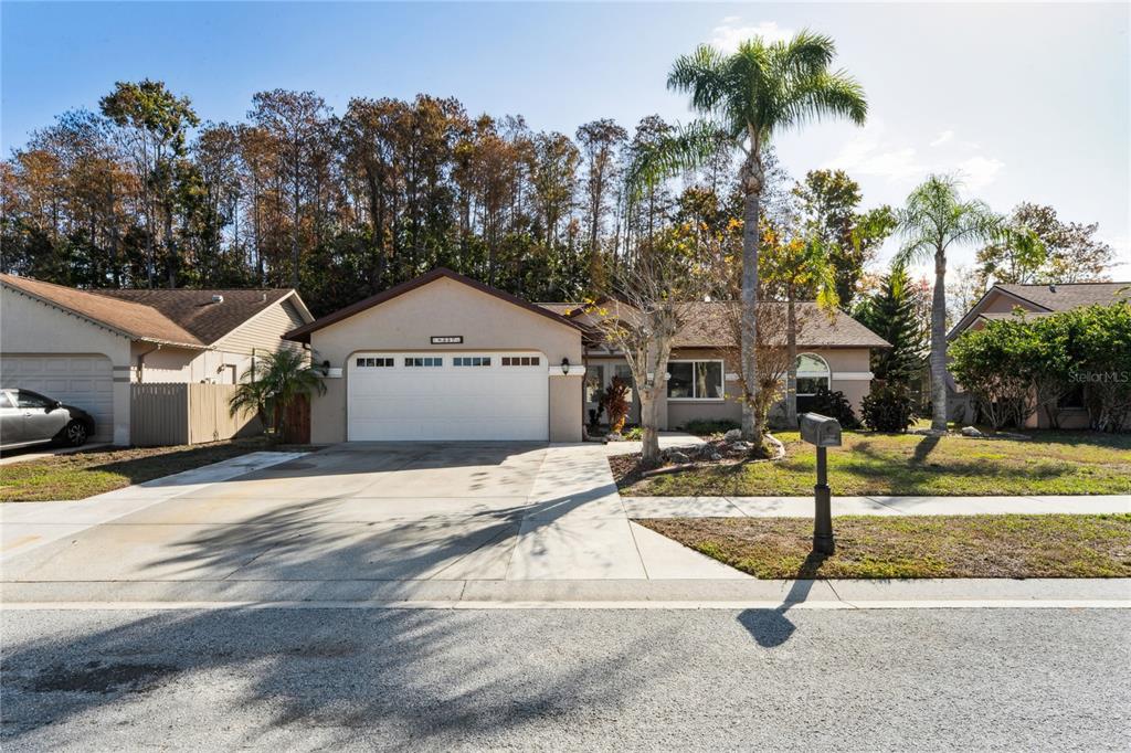 8357 Matthew Drive New Port Richey, FL 34653 - Photo 65 of 78 a front view of a house with a yard