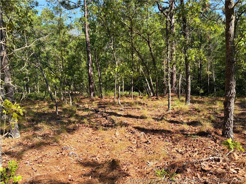 Flowers Road Raeford, NC 28376 - Photo 12 of 16 Gallery Image 12