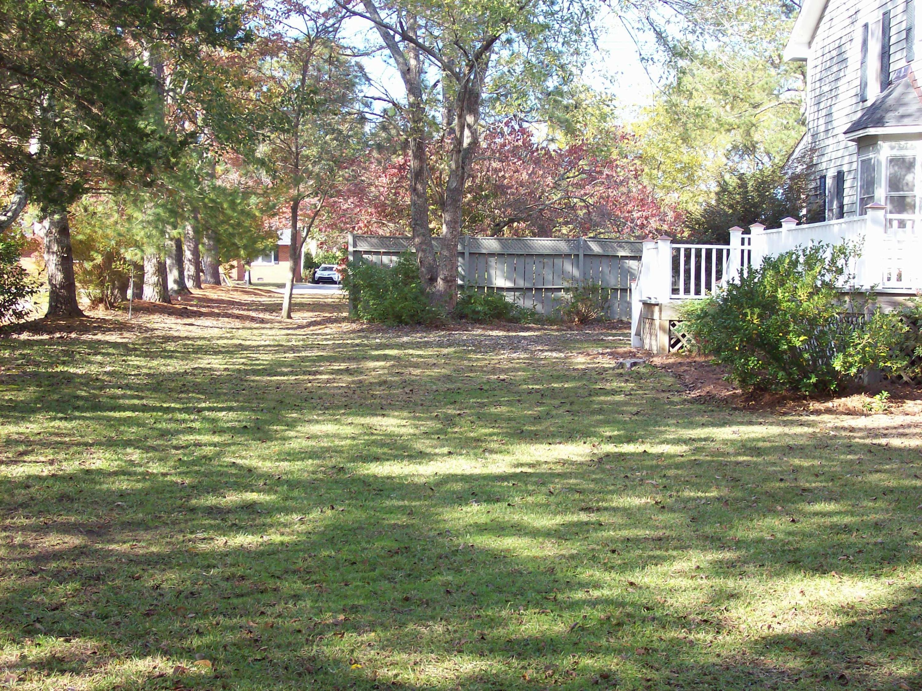 1412 Spivey Road Whiteville, NC 28472 - Photo 11 of 42 Side of yard