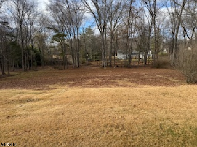 469 Bayberry Road Bridgewater, NJ 08807 - Photo 4 of 12 a view of a yard with trees