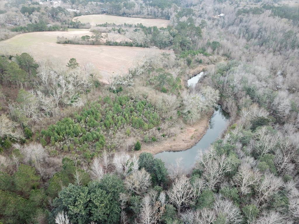 50.45-acres Trawick Road Dothan, AL 36301 - Photo 51 of 62