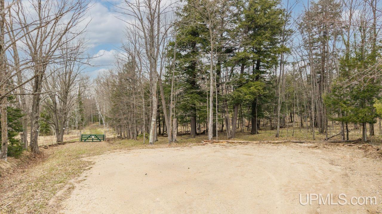 Tbd Hupp Road Vulcan, MI 49892 - Photo 2 of 12