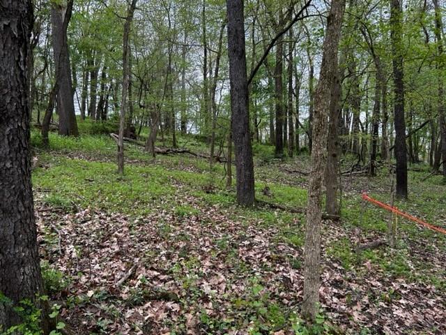 Lot 216 Thompsonville Road McMurray, PA 15317 - Photo 1 of 5 a green field with lots of trees