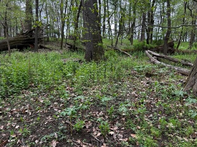 Lot 216 Thompsonville Road McMurray, PA 15317 - Photo 4 of 5 a view of outdoor space and deck