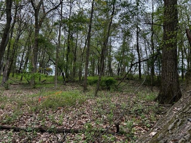 Lot 216 Thompsonville Road McMurray, PA 15317 - Photo 5 of 5 a view of a forest that has large trees