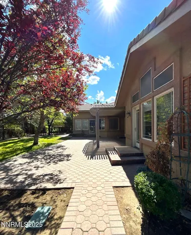 a view of a yard with plants and trees