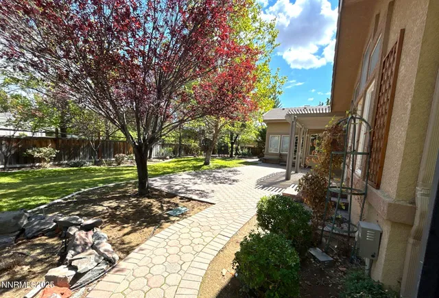 a view of a yard with plants and trees