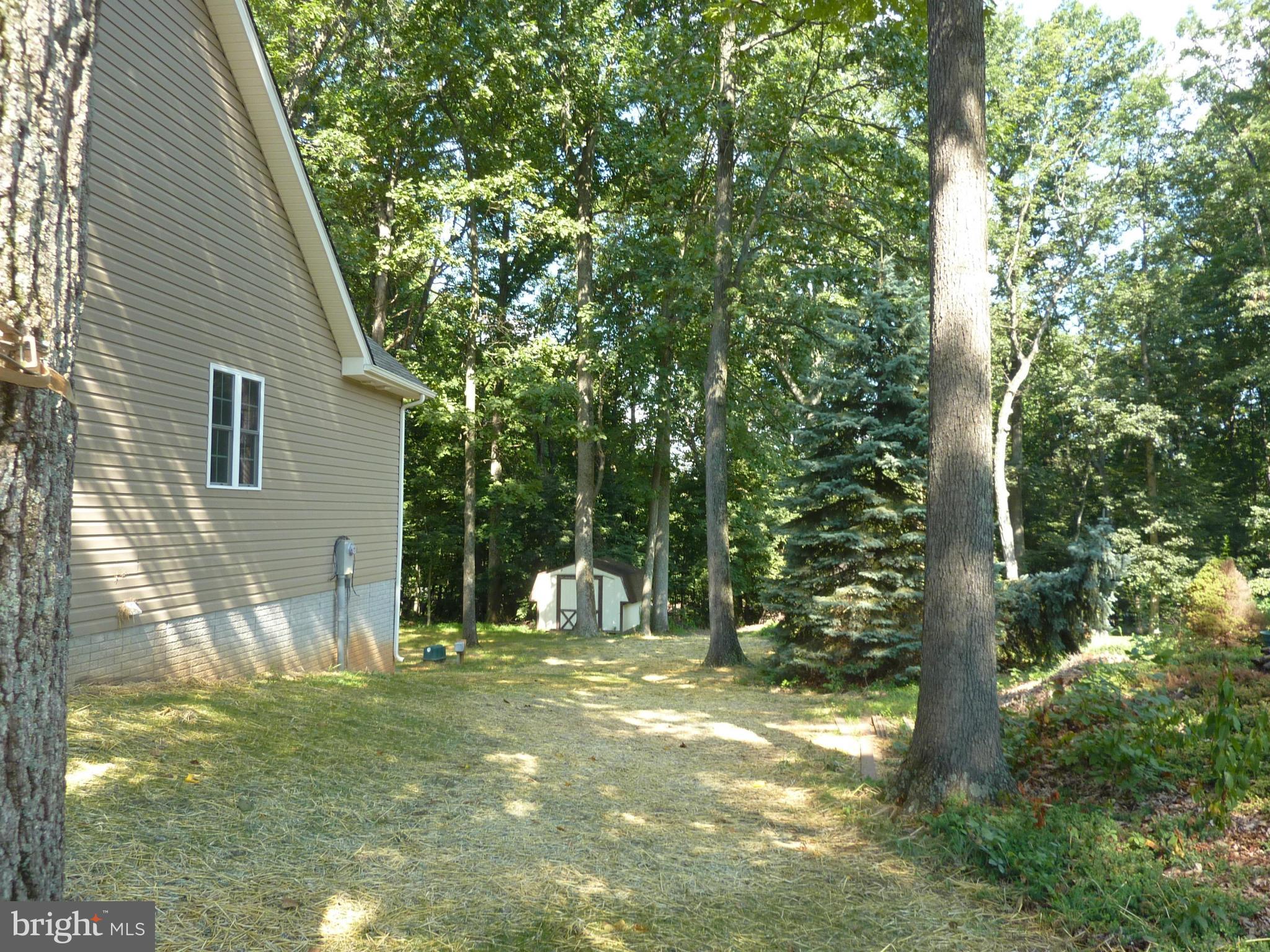 122 Forest Ridge Road Winchester, VA 22602 - Photo 4 of 30 Side view with Shed