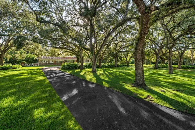a view of a park with large trees
