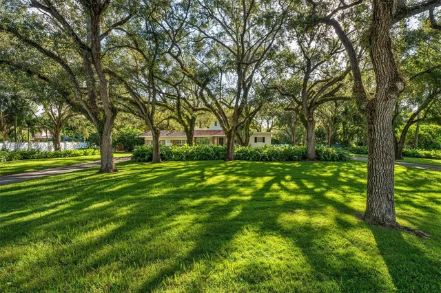 a view of grassy field with benches