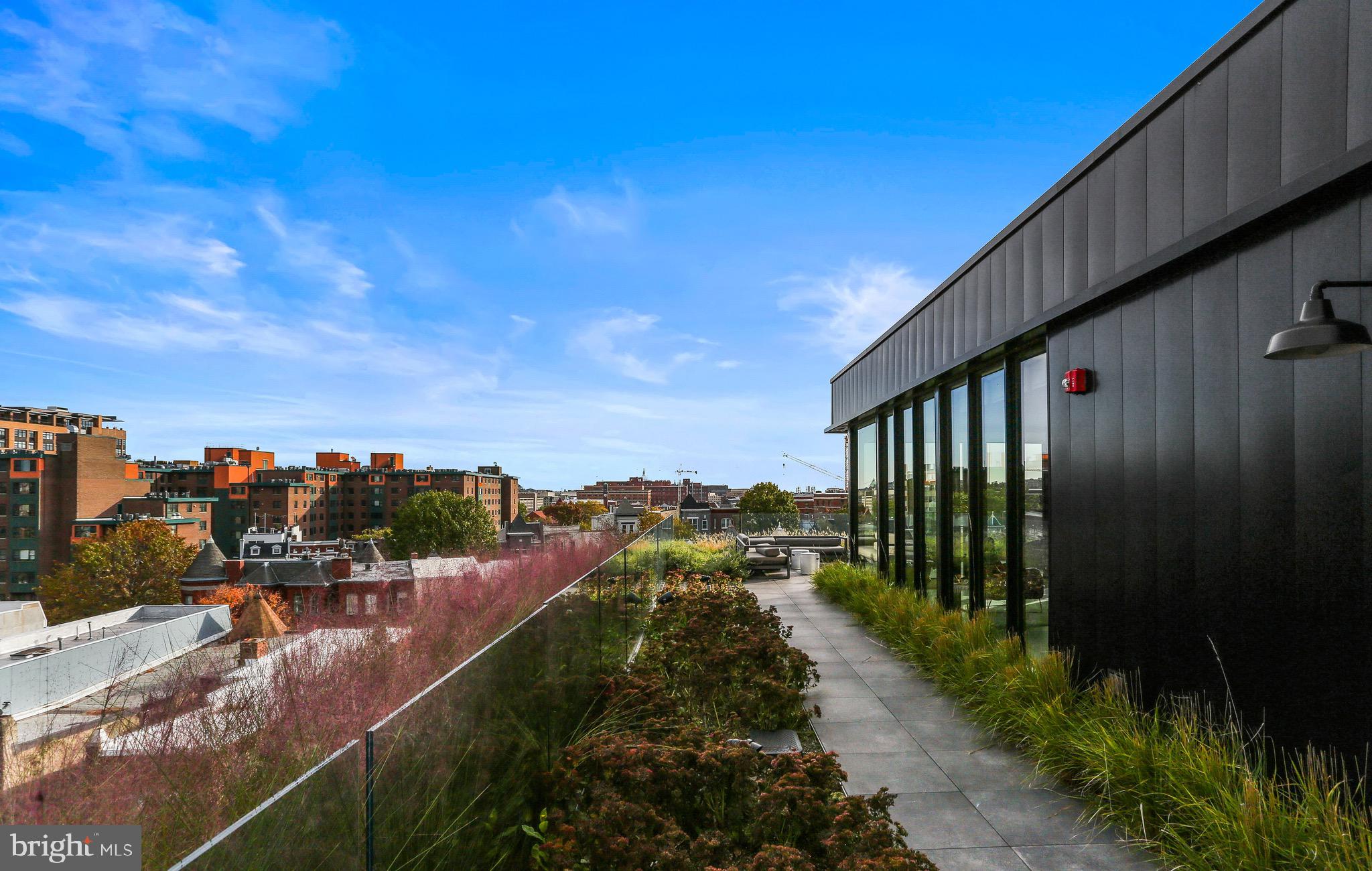 57 N Street Northwest, Unit HISTORIC 302 Washington, DC 20001 - Photo 16 of 22 Community Rooftop top.