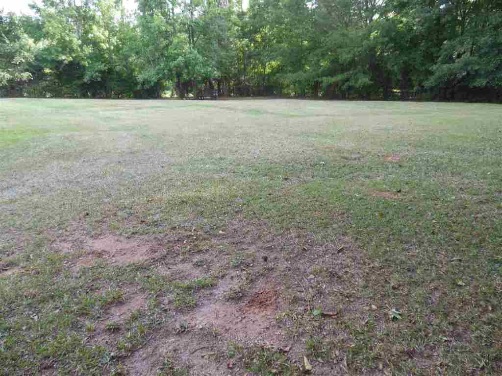 118 Edney Road Belton, SC 29627 - Photo 3 of 20 Gallery Image 3