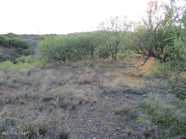 920 Aciano Court, Unit 66 Rio Rico, AZ 85648 - Photo 4 of 6