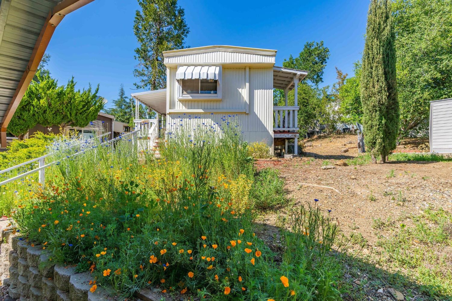 a view of backyard of house with green space