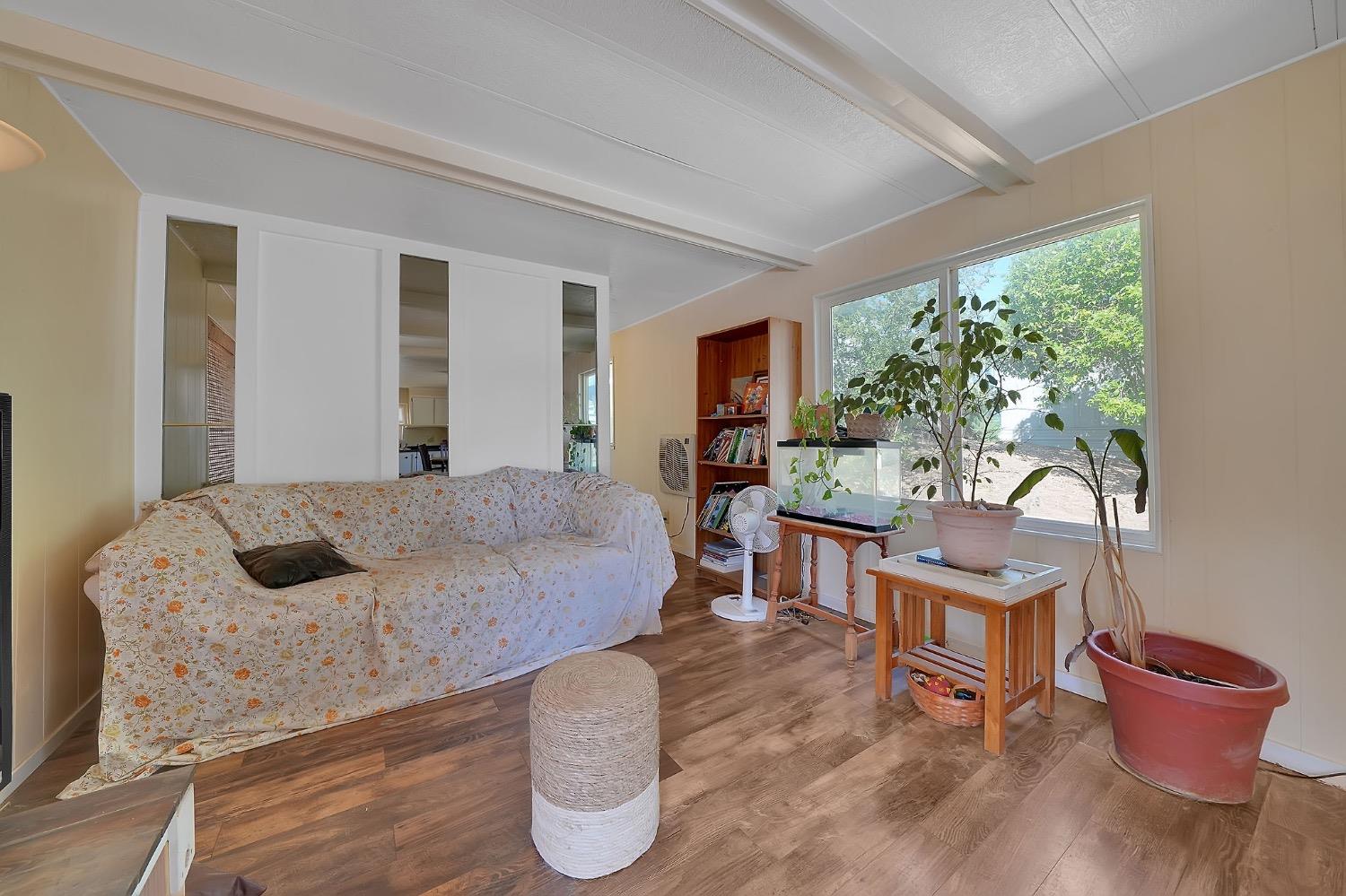 150 Clinton Road, Unit 38 Jackson, CA 95642 - Photo 14 of 18 a living room with furniture and a potted plant