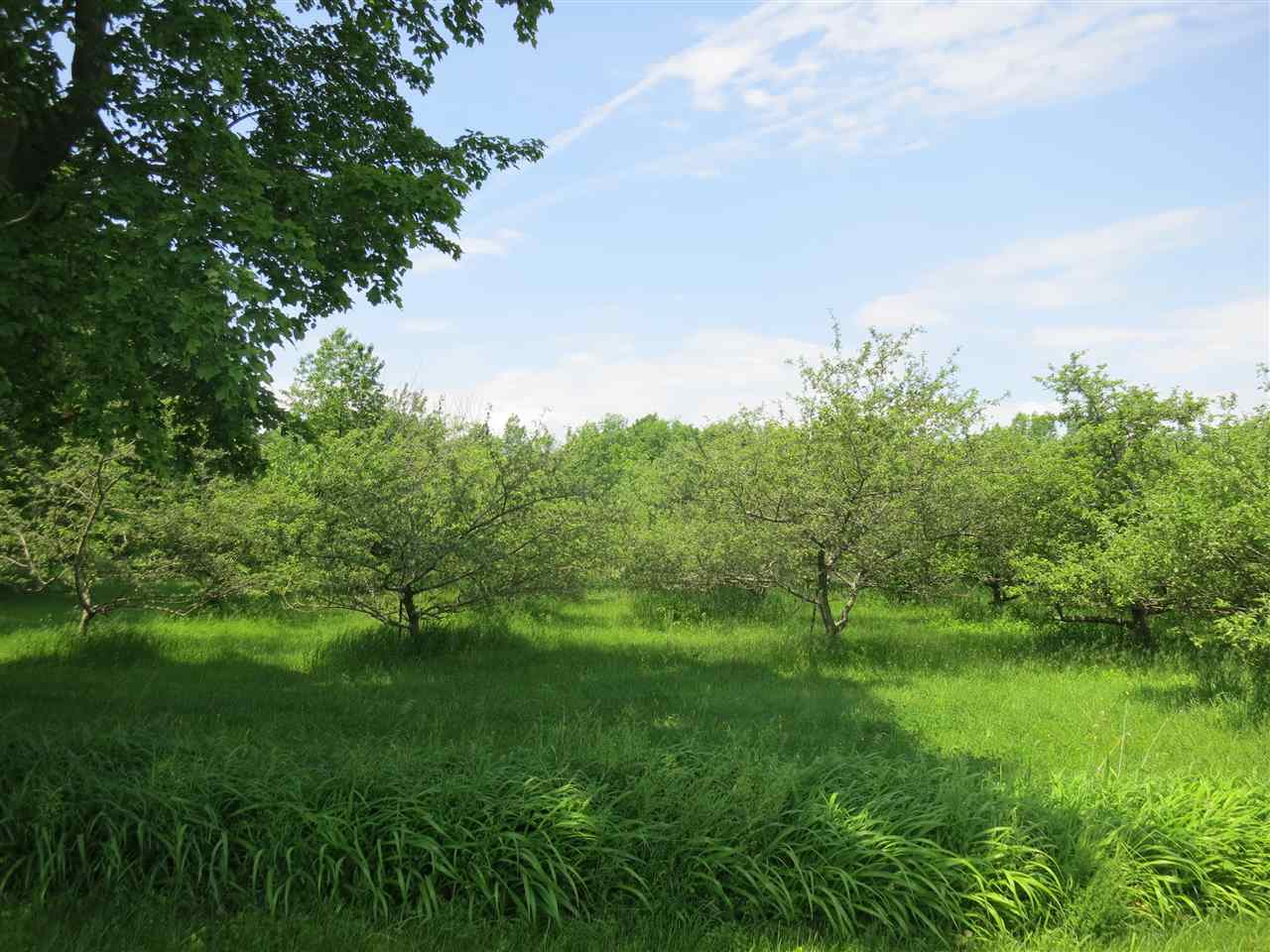 83 Adams School Road, Unit LOT 3 Grand Isle, VT 05458 - Photo 1 of 22 Gallery Image 1