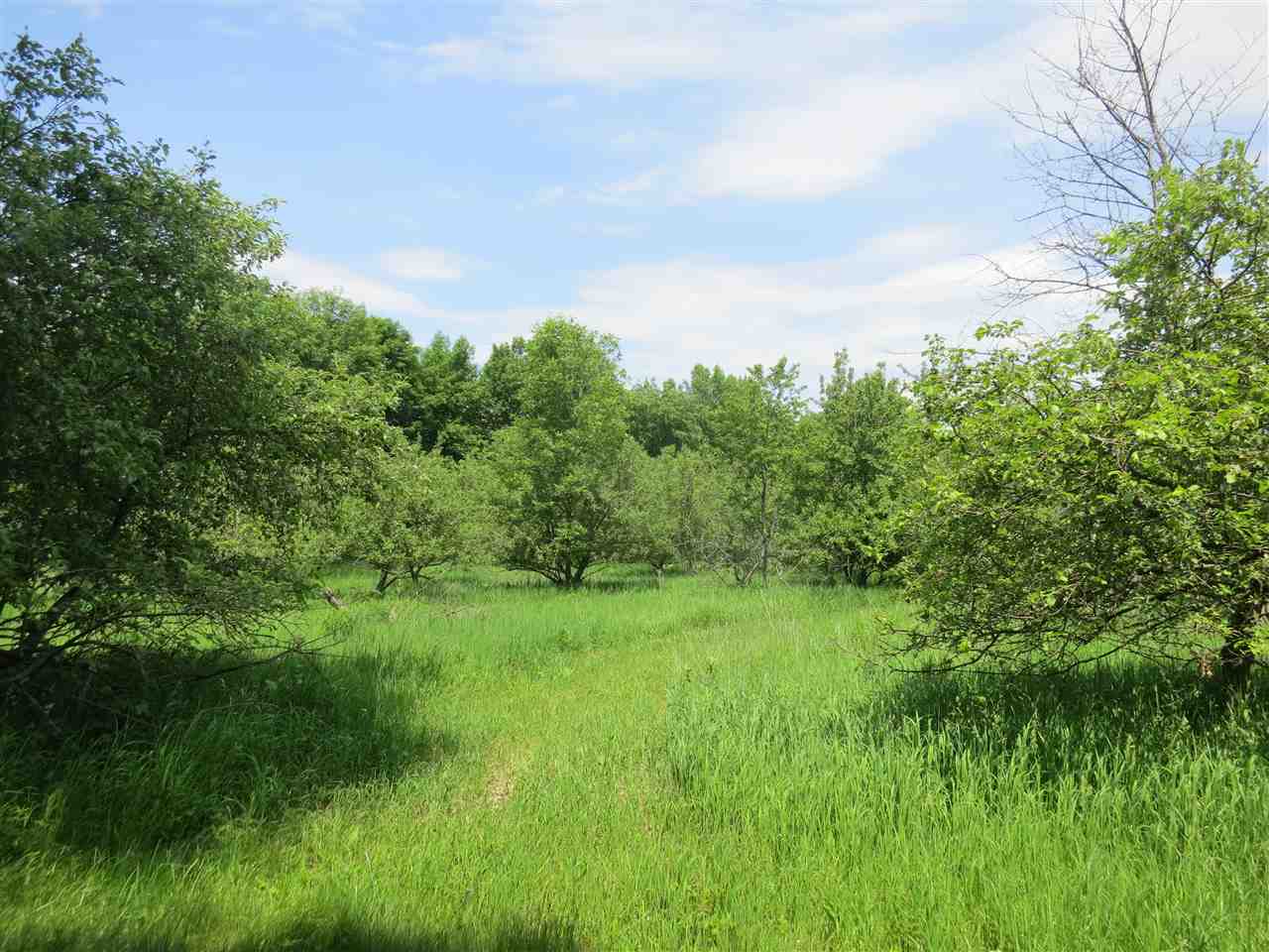 83 Adams School Road, Unit LOT 3 Grand Isle, VT 05458 - Photo 11 of 22 Gallery Image 11