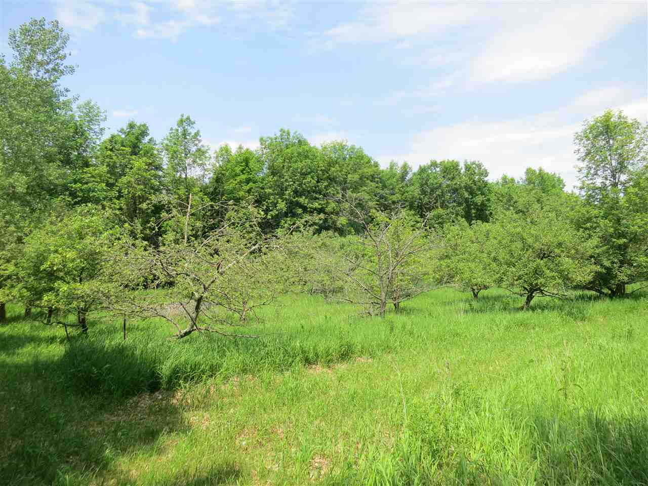 83 Adams School Road, Unit LOT 3 Grand Isle, VT 05458 - Photo 12 of 22 Gallery Image 12