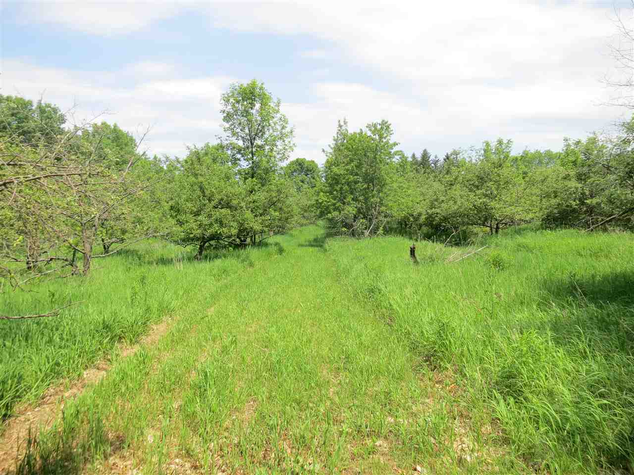 83 Adams School Road, Unit LOT 3 Grand Isle, VT 05458 - Photo 13 of 22 Gallery Image 13