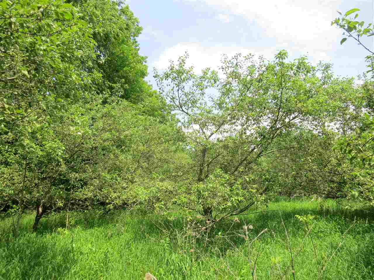 83 Adams School Road, Unit LOT 3 Grand Isle, VT 05458 - Photo 18 of 22 Gallery Image 18
