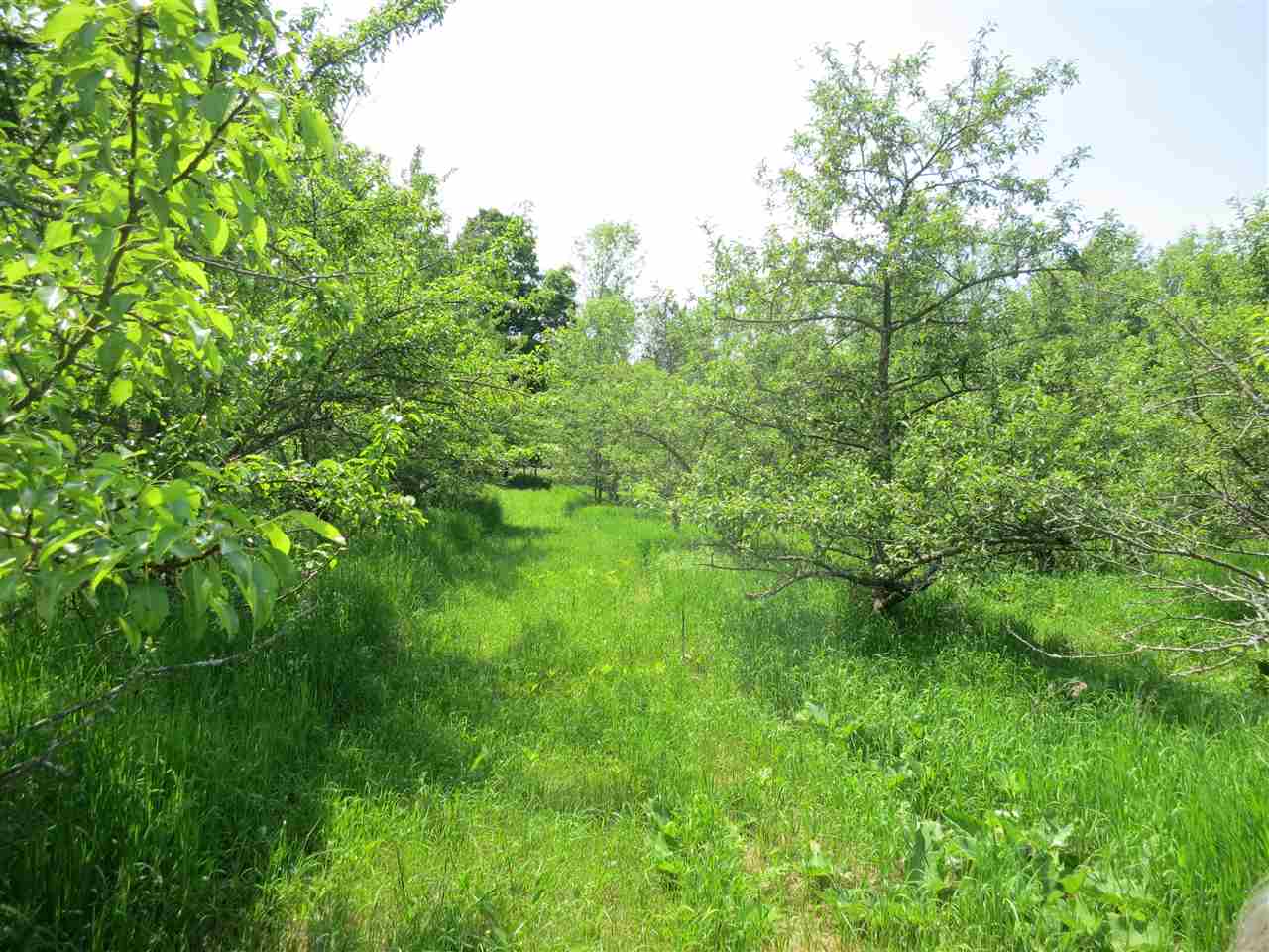 83 Adams School Road, Unit LOT 3 Grand Isle, VT 05458 - Photo 19 of 22 Gallery Image 19