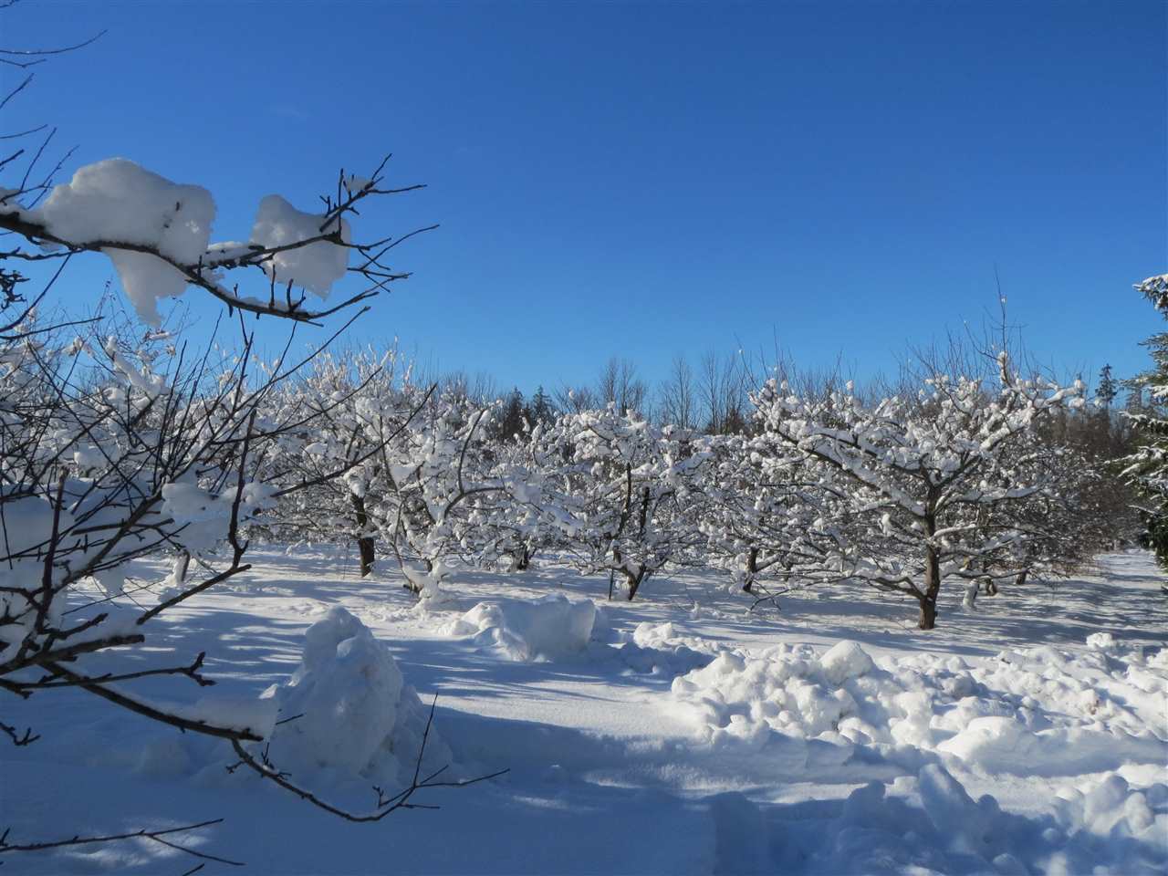83 Adams School Road, Unit LOT 3 Grand Isle, VT 05458 - Photo 22 of 22 Gallery Image 22