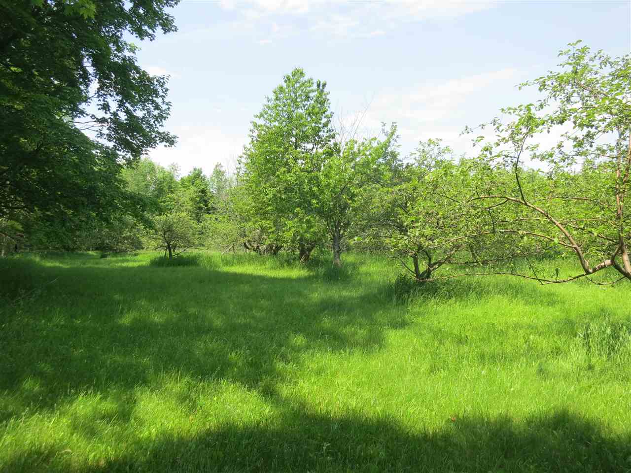 83 Adams School Road, Unit LOT 3 Grand Isle, VT 05458 - Photo 6 of 22 Gallery Image 6