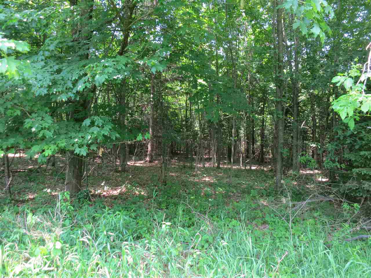 83 Adams School Road, Unit LOT 3 Grand Isle, VT 05458 - Photo 10 of 22 Gallery Image 10