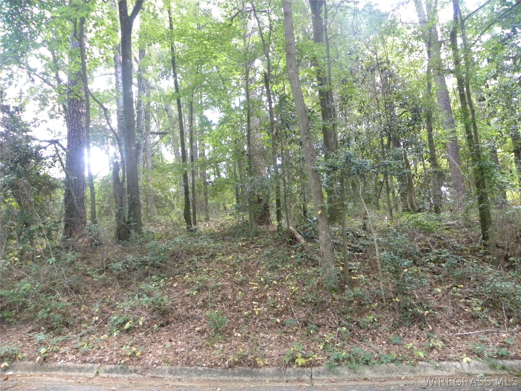 0 Briarcliff Road Ozark, AL 36360 - Photo 2 of 4 Gallery Image 2