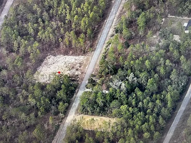 $20,000 | Narcissus, Dunnellon, FL 34431