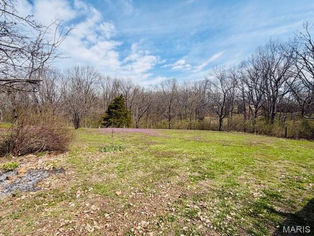 329 Lakeview Road Old Monroe, MO 63369 - Photo 3 of 7