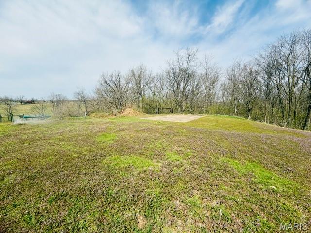 329 Lakeview Road Old Monroe, MO 63369 - Photo 6 of 7