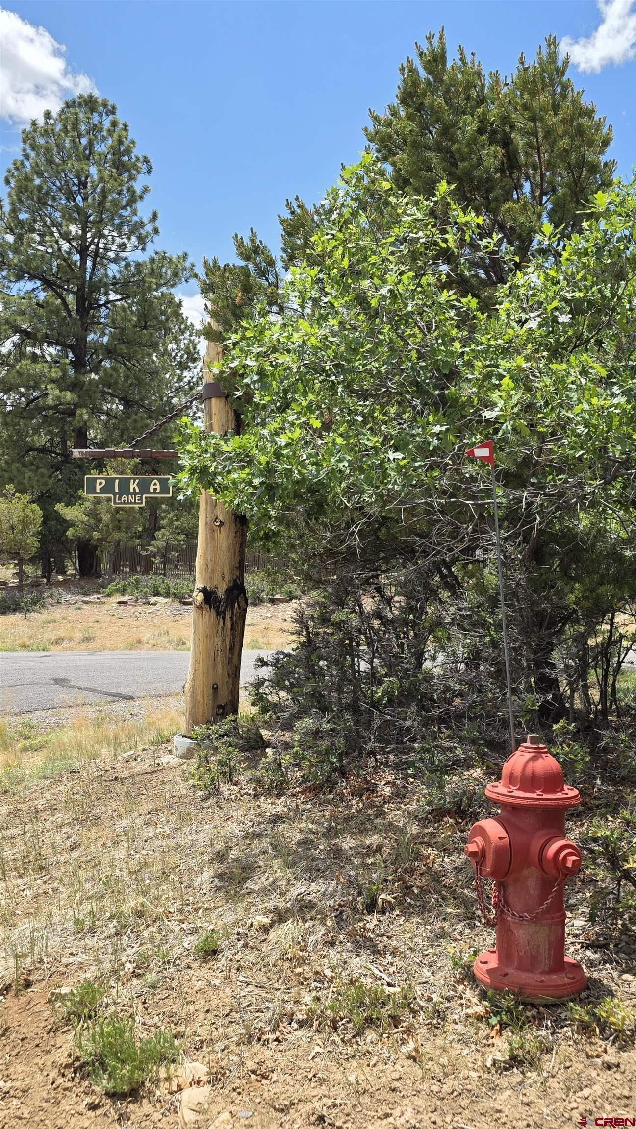 118 Pika Lane Ridgway, CO 81432 - Photo 5 of 10