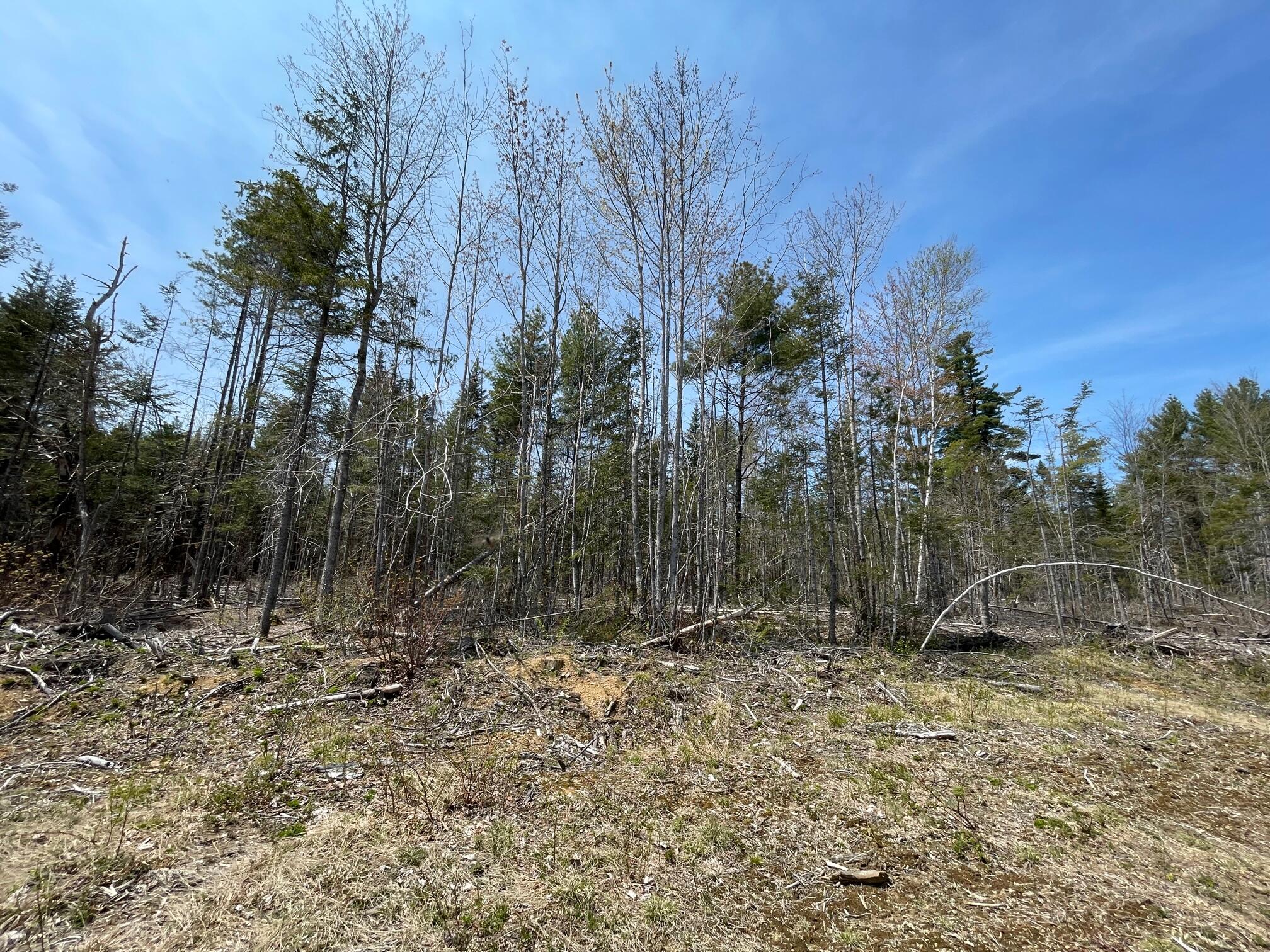 1664 Cathance Road East Machias, ME 04630 - Photo 15 of 21 IMG_2139