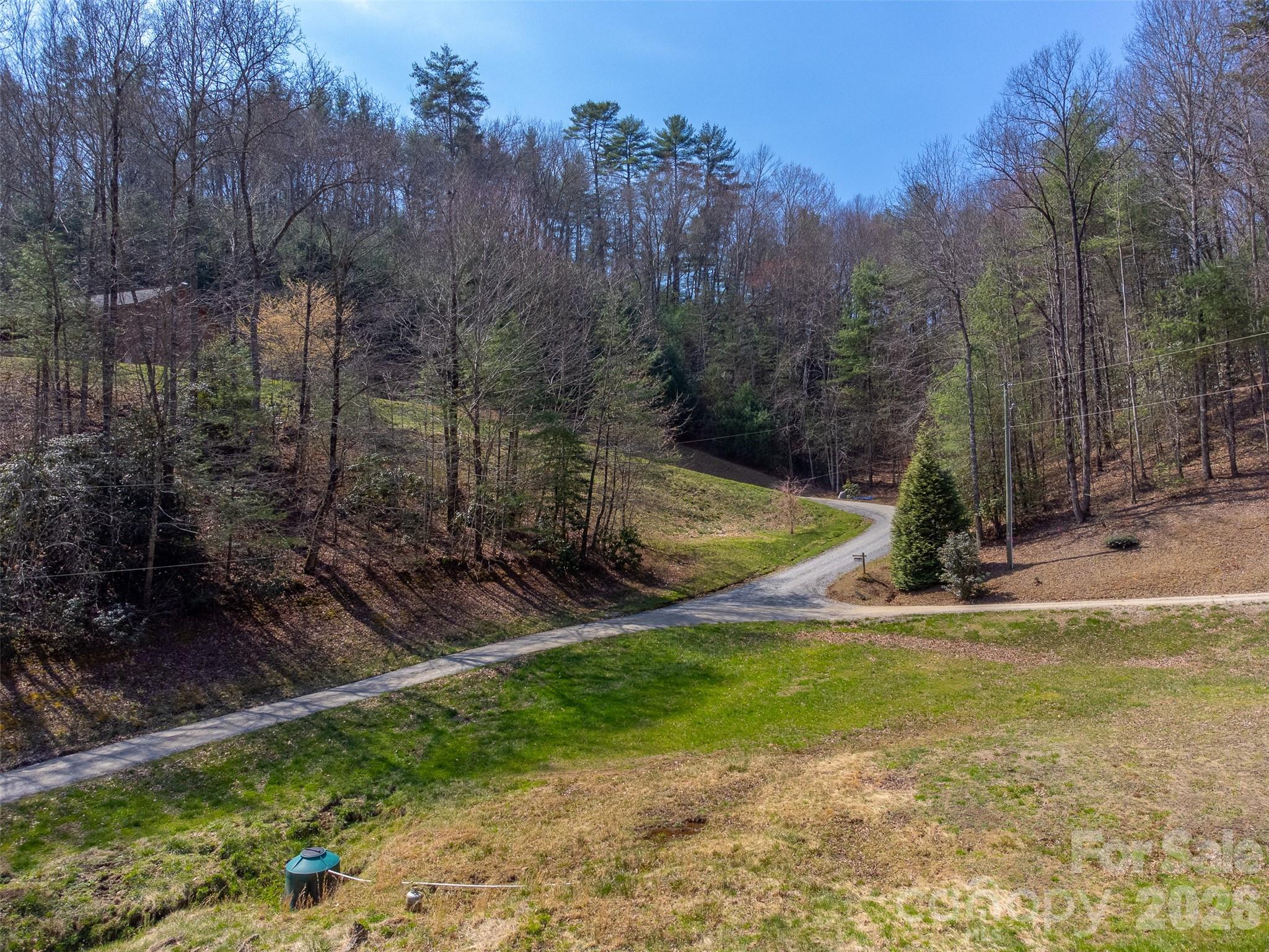 1960 Atoah Road Robbinsville, NC 28771 - Photo 42 of 48 a view of a park with large trees