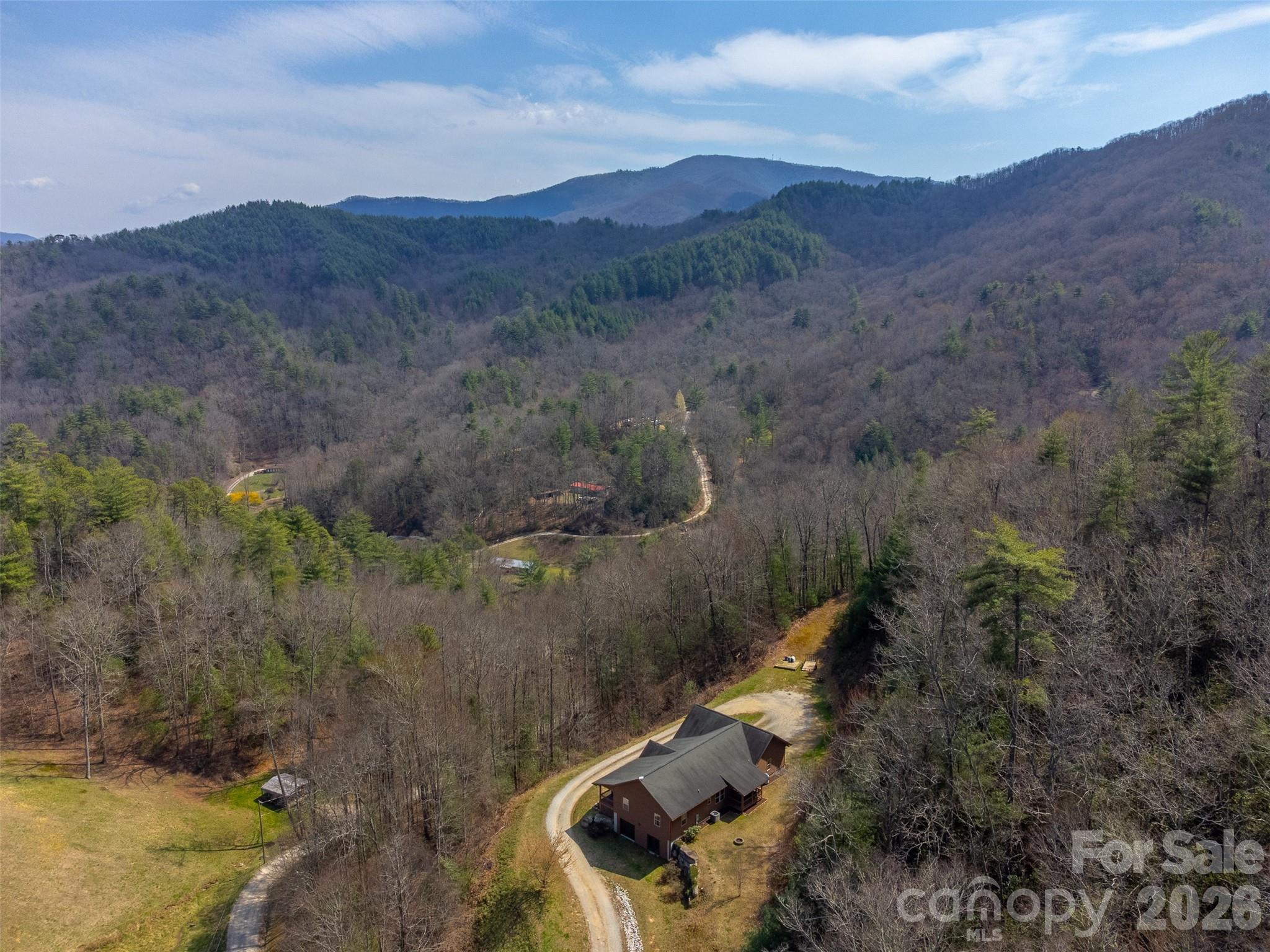 1960 Atoah Road Robbinsville, NC 28771 - Photo 46 of 48 a view of a forest with mountain and a forest
