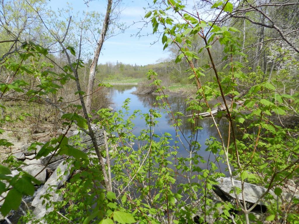 0 Stage Road St. Albans, ME 04971 - Photo 10 of 15 Photo