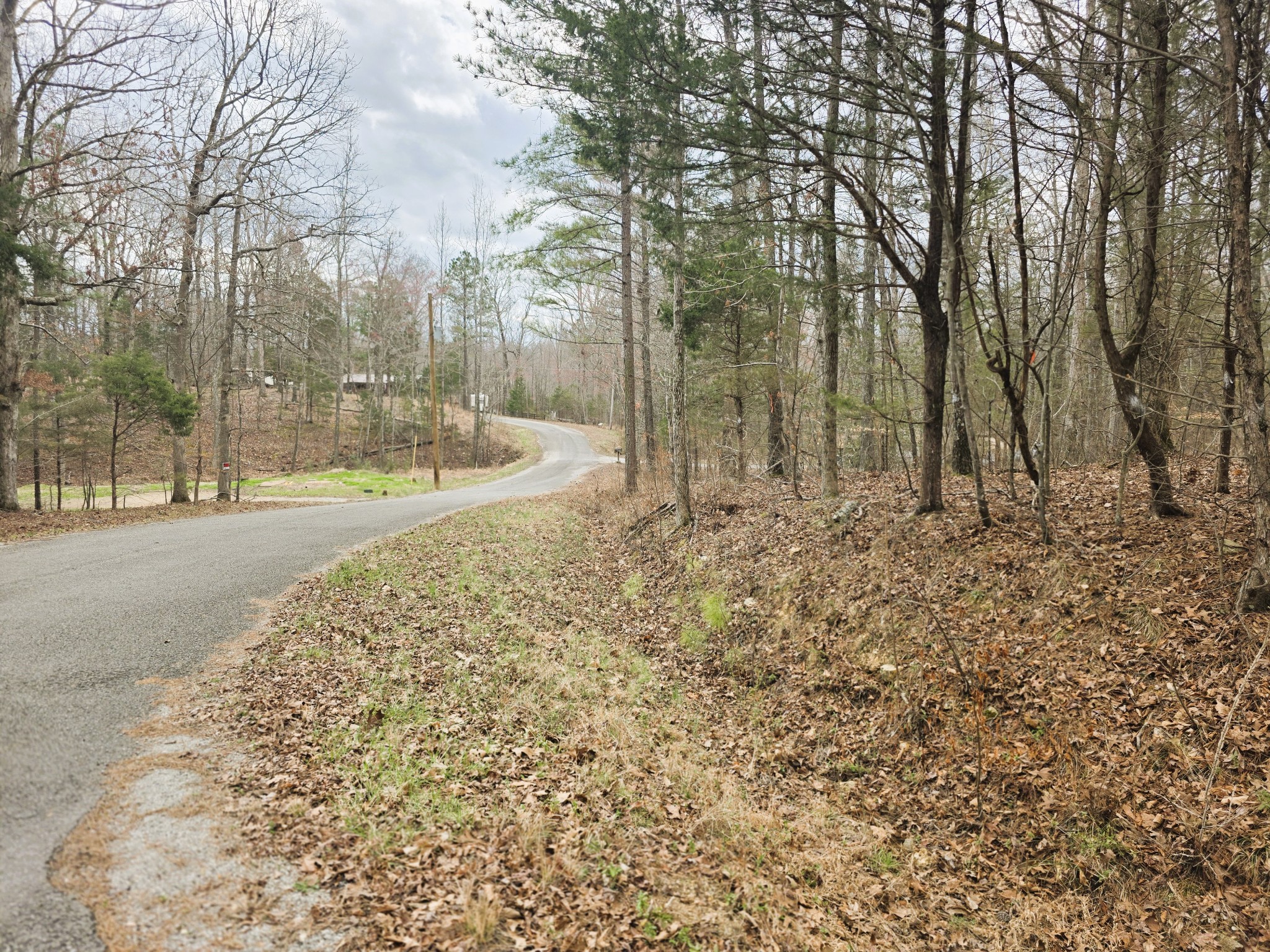 0 Ramblingwood Drive Big Sandy, TN 38221 - Photo 4 of 10 a view of a yard with trees in the background