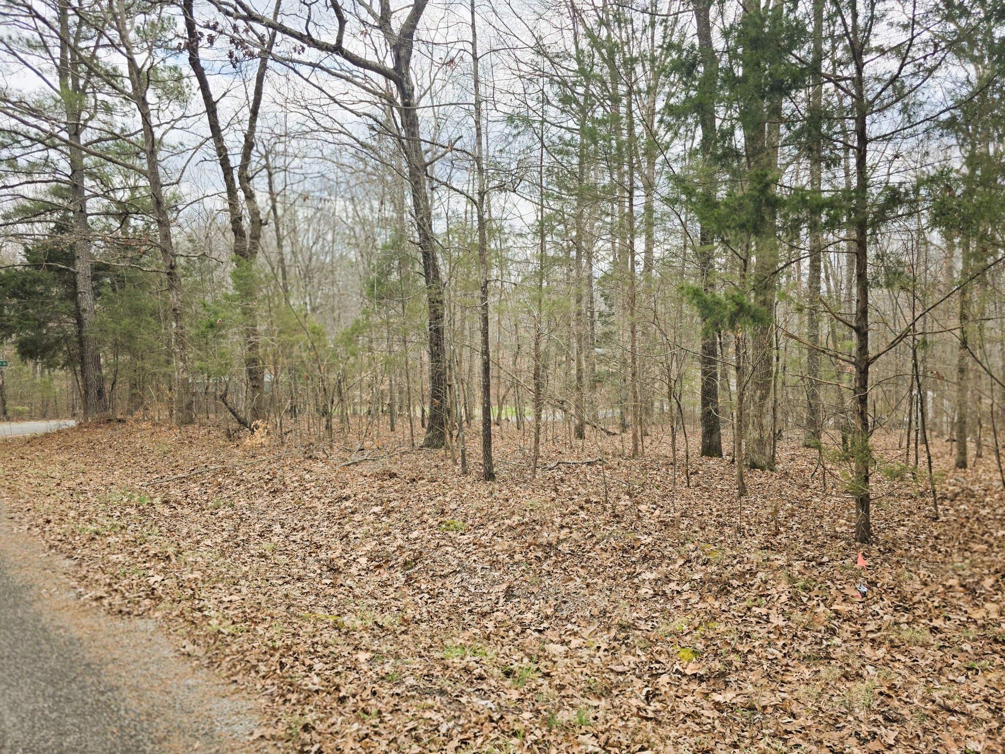 0 Ramblingwood Drive Big Sandy, TN 38221 - Photo 5 of 10 a view of a yard with trees