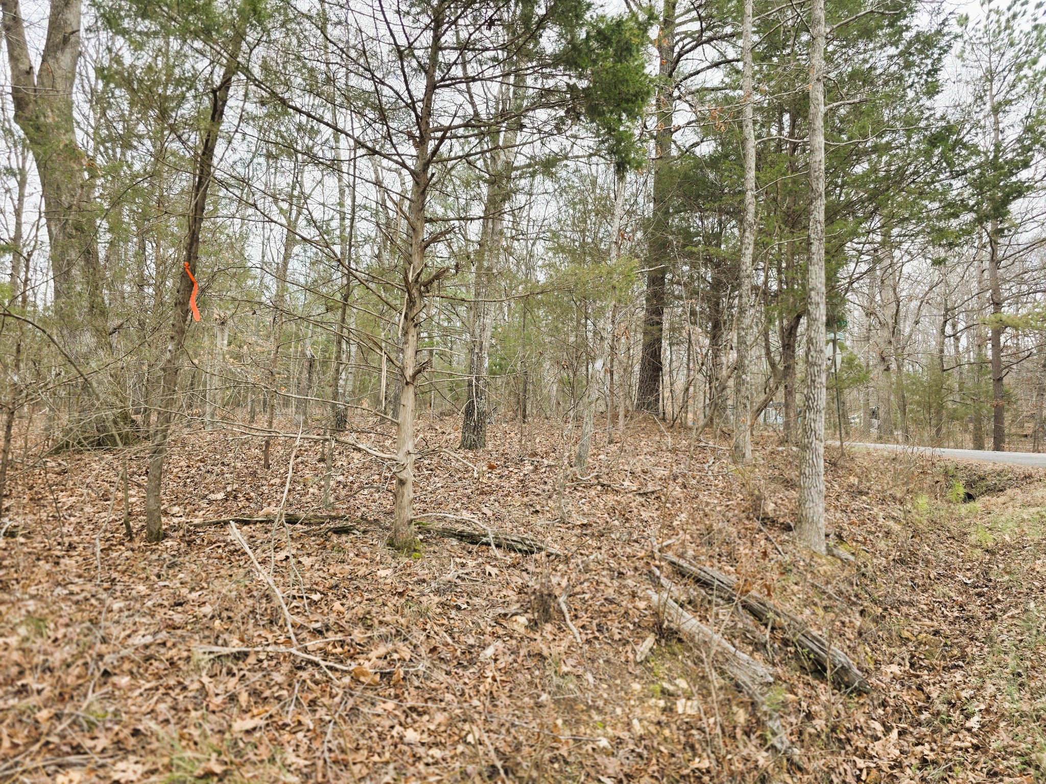 0 Ramblingwood Drive Big Sandy, TN 38221 - Photo 7 of 10 a view of a yard with trees