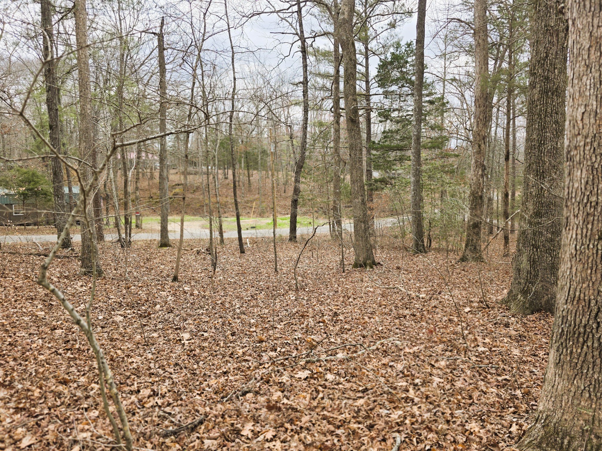 0 Ramblingwood Drive Big Sandy, TN 38221 - Photo 8 of 10 a view of an outdoor space