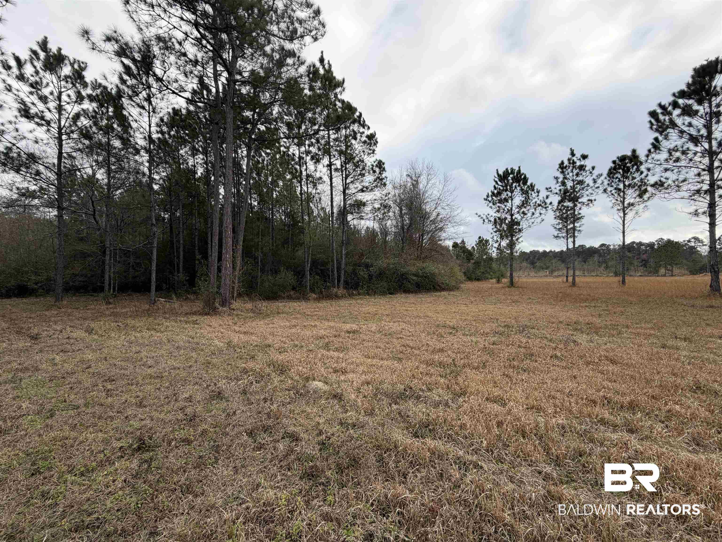 10585 Bellingrath Road Theodore, AL 36582 - Photo 7 of 14 View of undeveloped land featuring rural landscape