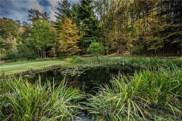 $419,900 | 8368 Old Poland Road, Trenton, NY 13304