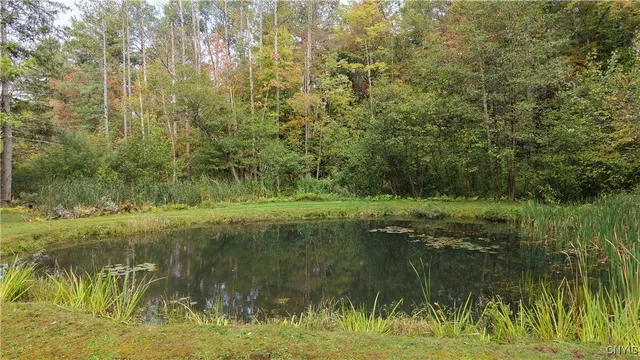 $419,900 | 8368 Old Poland Road, Trenton, NY 13304