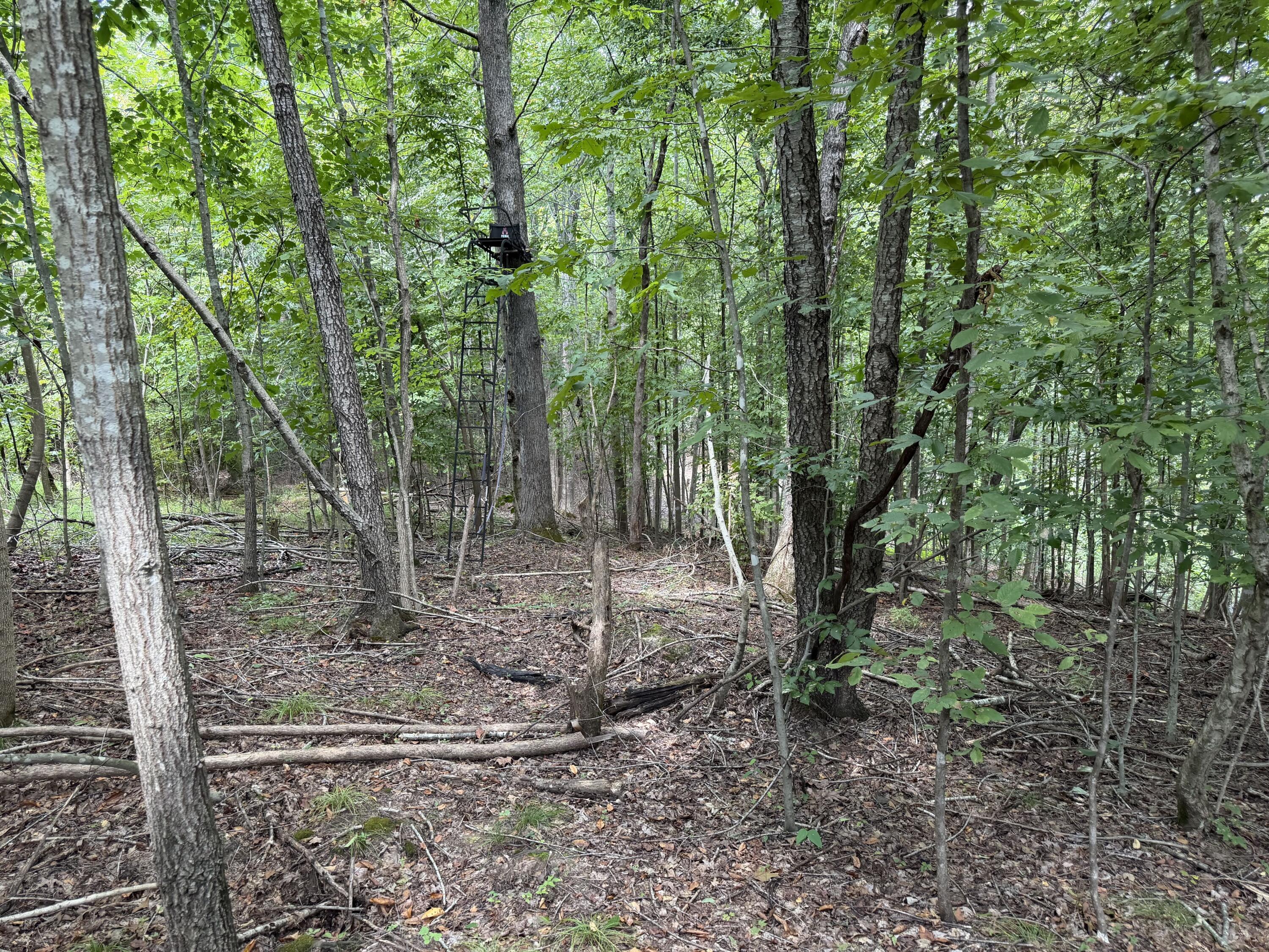 6861 Rockcastle Road Cadiz, KY 42211 - Photo 70 of 75 6