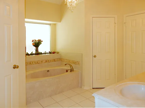 $2,650 | 16611 Colony Terrace Drive, Sugar Land, TX 77479