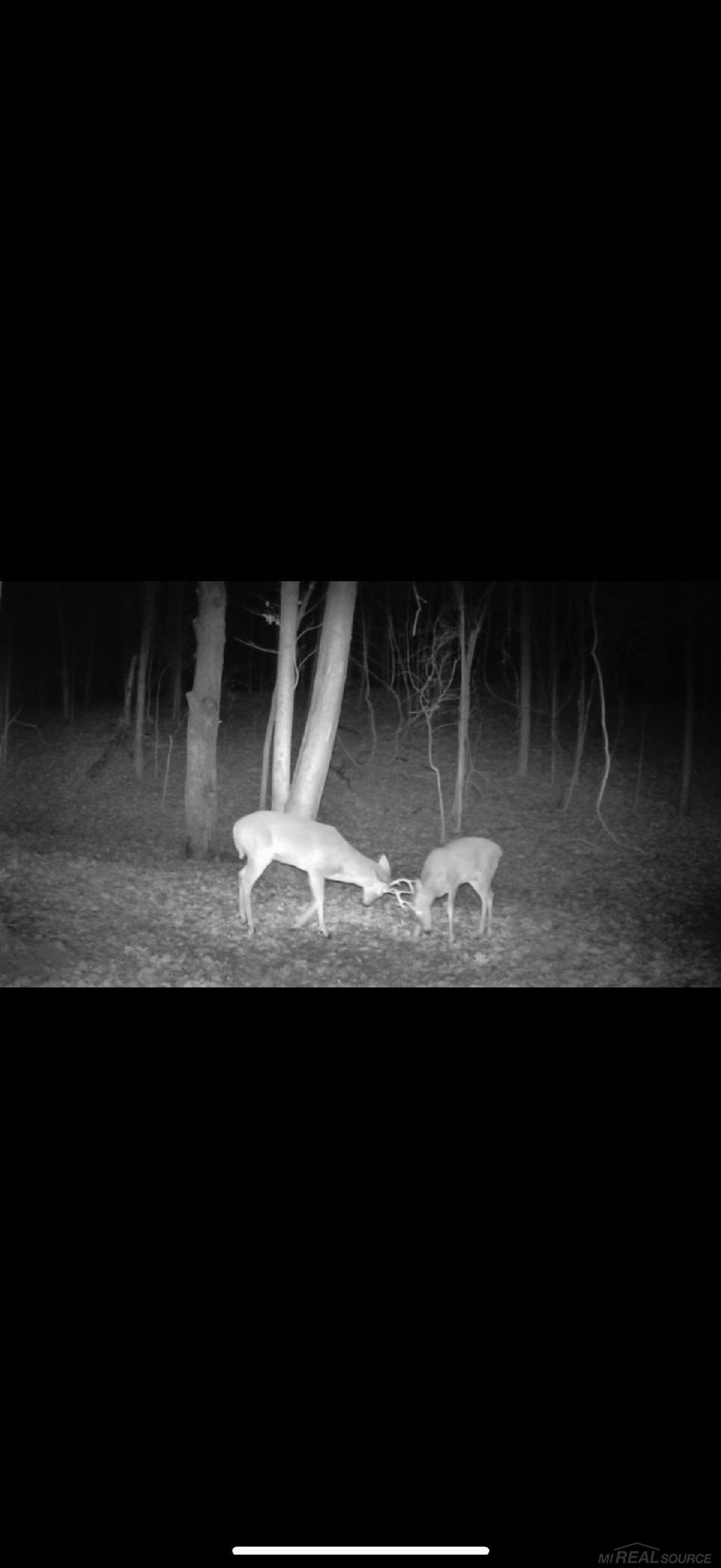 1591 Winslow Road Imlay City, MI 48444 - Photo 63 of 68 50196822-e883273a-394c-4c52-9813-cac1e33695bd.JPG